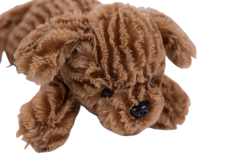 尊龙凯时(й)ٷվ